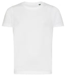 Ecologie Kids Cascades Organic T-Shirt-5