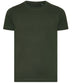 Bottle Green