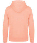 Ecologie Unisex Lusaka Sustainable Hoodie-14