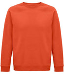 SOL'S Unisex Space Organic Raglan Sweatshirt-35