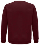 SOL'S Unisex Space Organic Raglan Sweatshirt-30