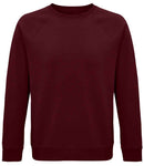 SOL'S Unisex Space Organic Raglan Sweatshirt-29