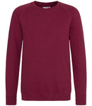 AWDis Academy Kids Raglan Sweatshirt-5