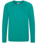AWDis Academy Kids Raglan Sweatshirt-8