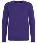 AWDis Academy Kids Raglan Sweatshirt-13