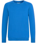 AWDis Academy Kids Raglan Sweatshirt-16