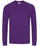 AWDis Academy Raglan Sweatshirt-11