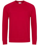 AWDis Academy Raglan Sweatshirt-12