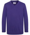 AWDis Academy Kids V Neck Sweatshirt-10