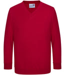 AWDis Academy Kids V Neck Sweatshirt-11