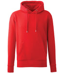 Anthem Organic Hoodie-7