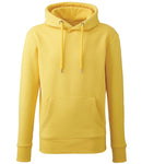 Anthem Organic Hoodie-10