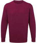 Anthem Organic Sweatshirt-4