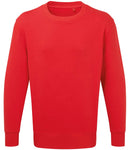 Anthem Organic Sweatshirt-11