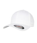 Flexfit Organic Cotton Cap-4