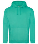 AWDis College Hoodie-10