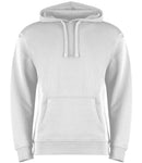 Kustom Kit Hoodie-12