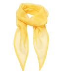 Premier 'Colours' Chiffon Scarf-38