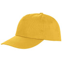 Result Houston Cap-14